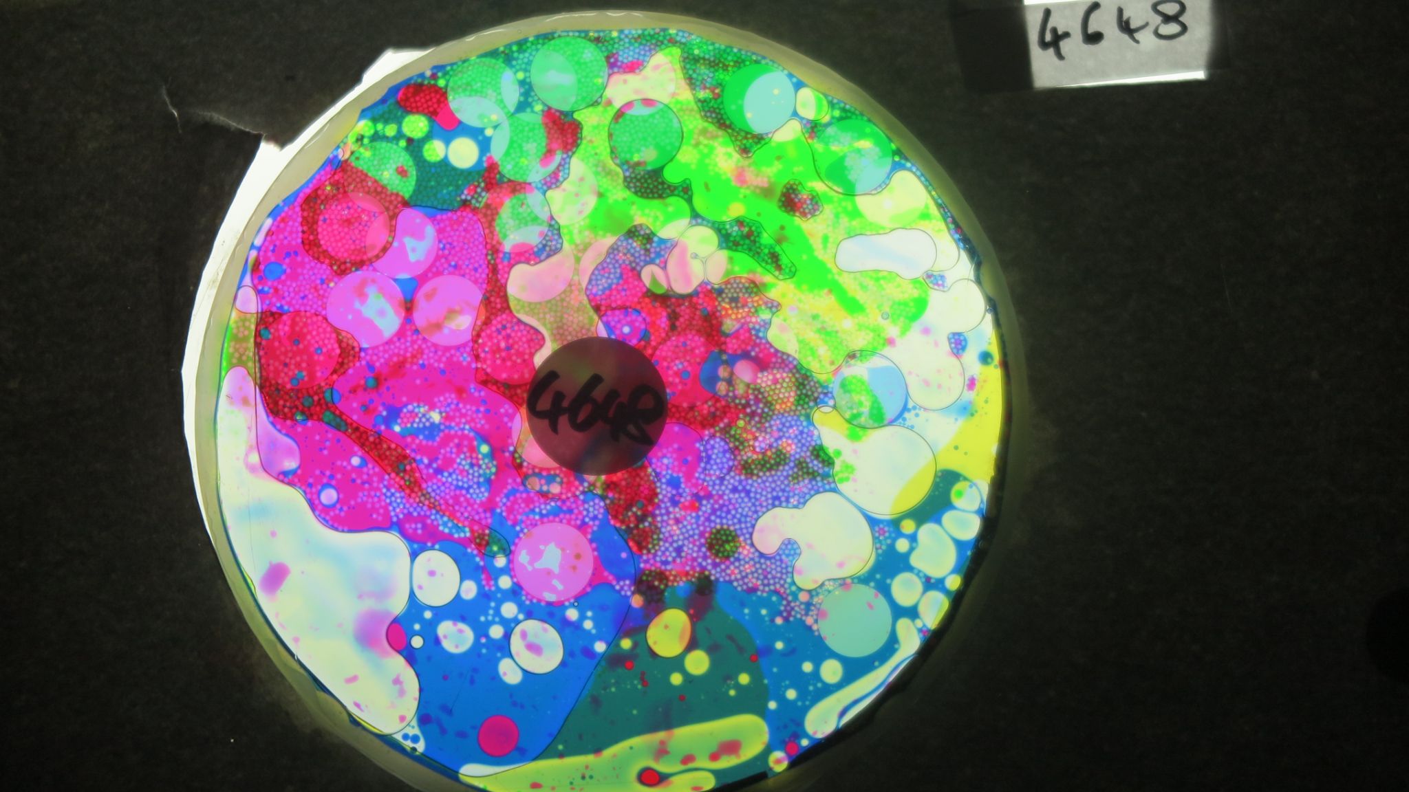 BV4648 bubble vision oil wheel